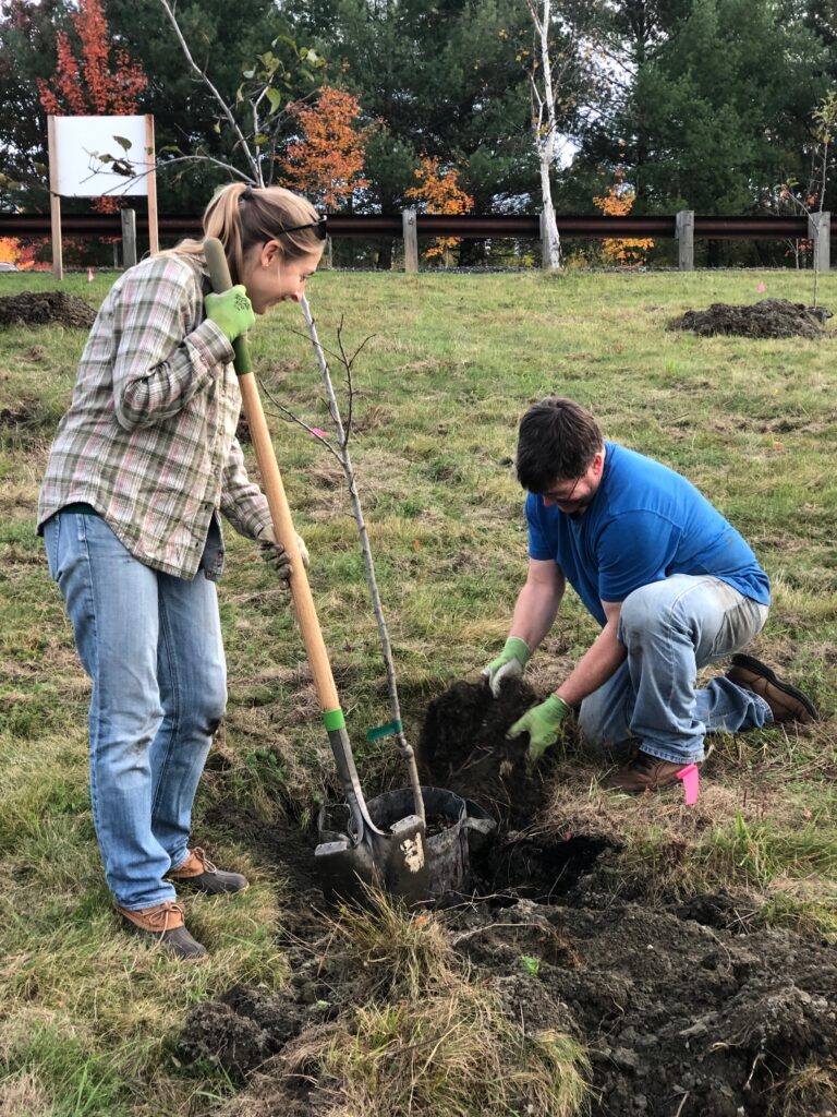 Photo of two people planting a tree